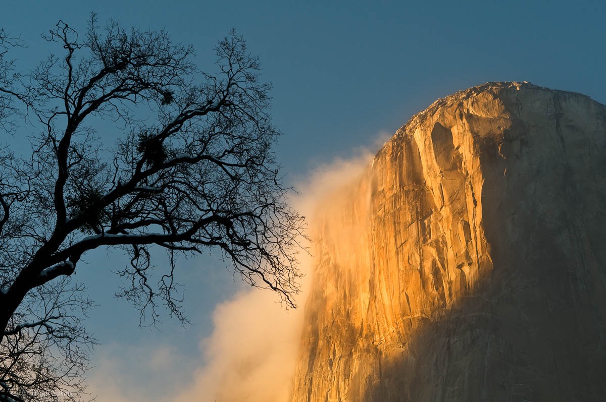 Yosemite Valley-13.jpg