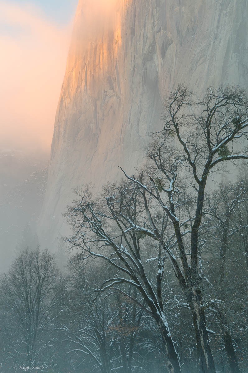 Yosemite Valley-14.jpg