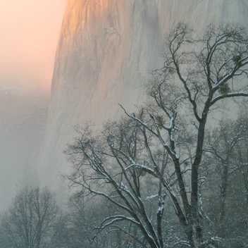 Yosemite Valley-14.jpg