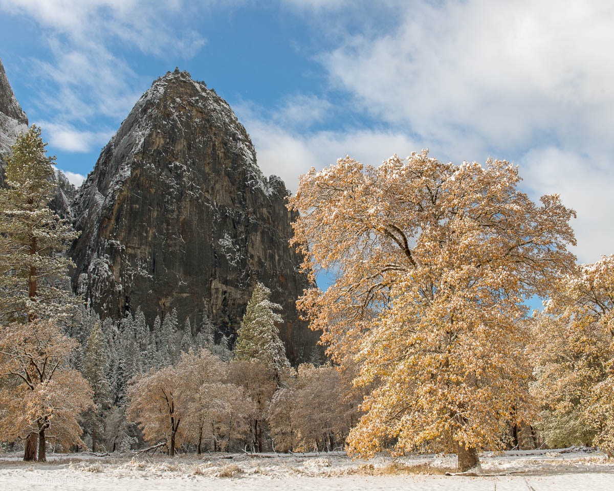 Yosemite Valley-17.jpg