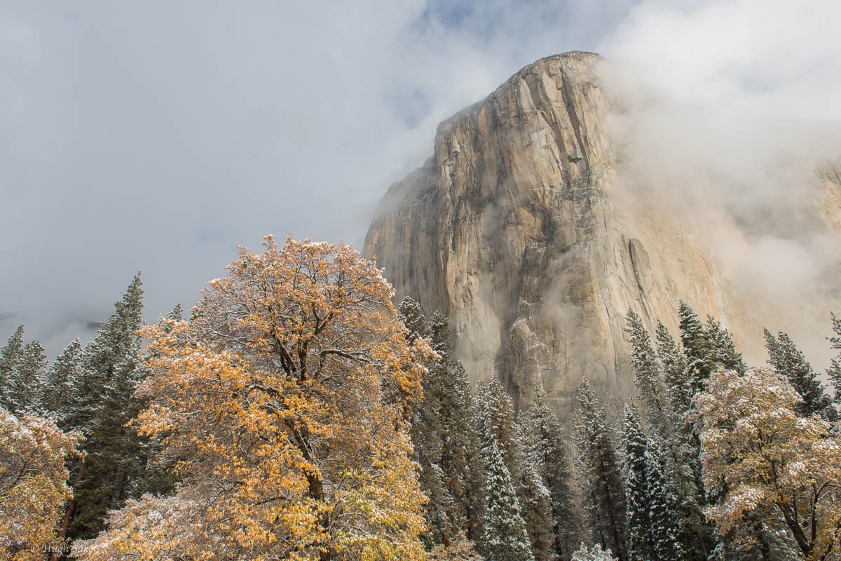 Yosemite Valley-18.jpg
