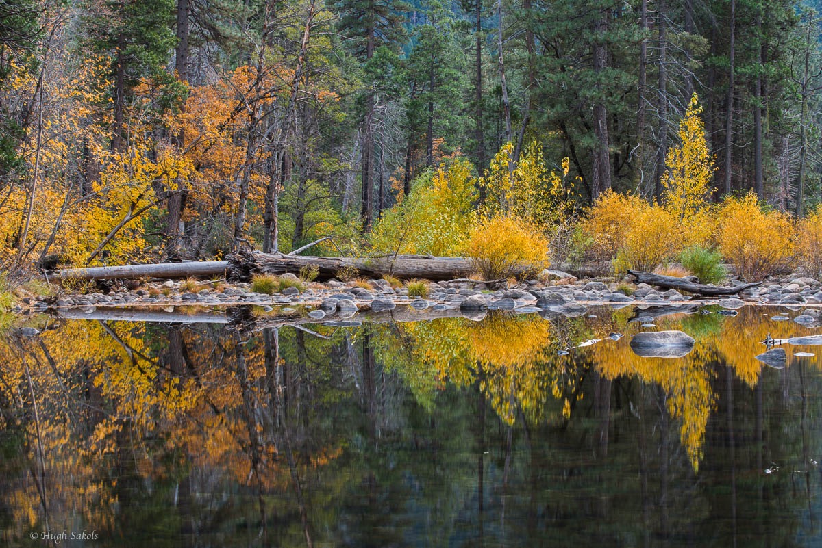 Yosemite Valley-27.jpg