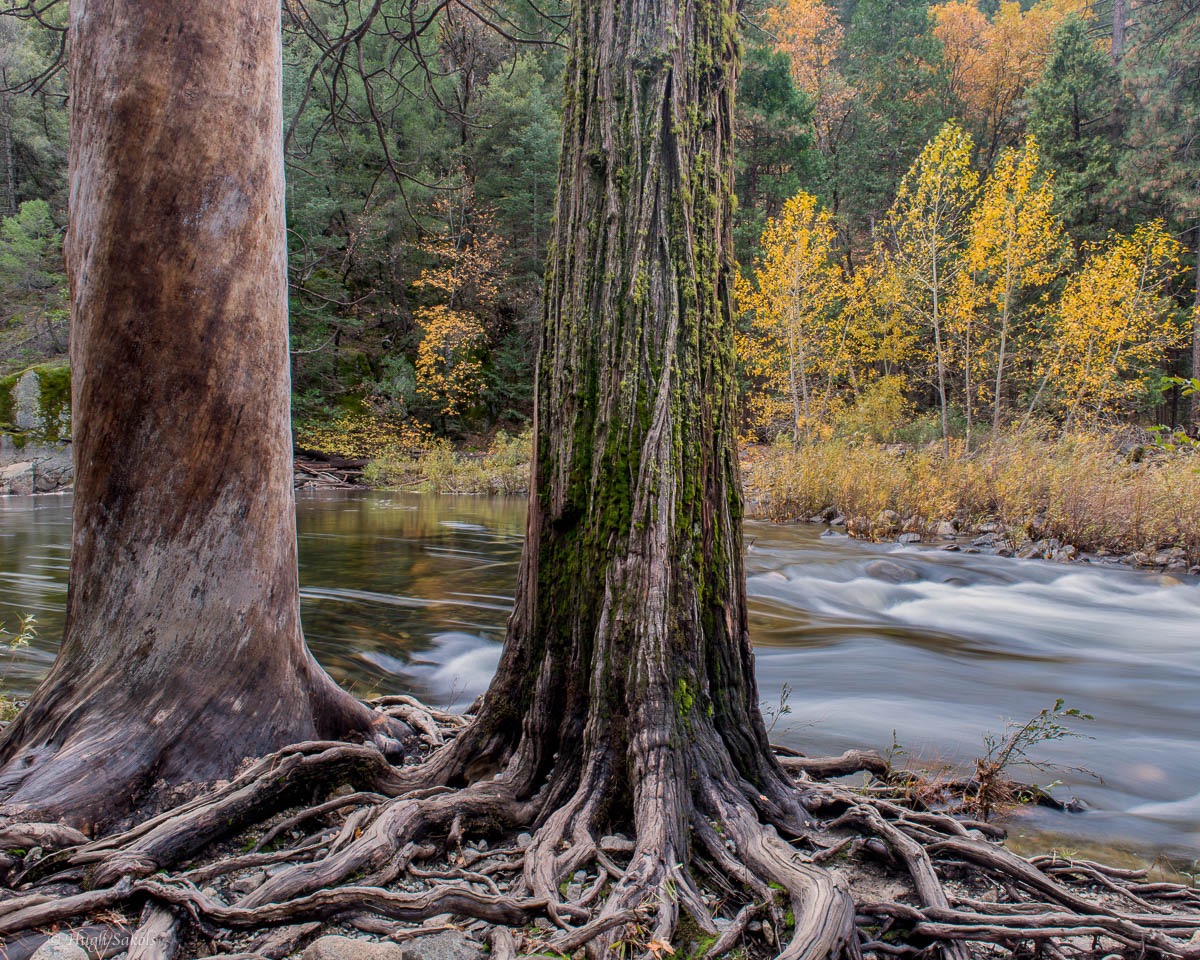 Yosemite Valley-30.jpg