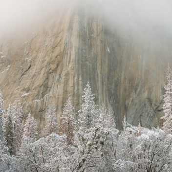 Yosemite Valley-31.jpg