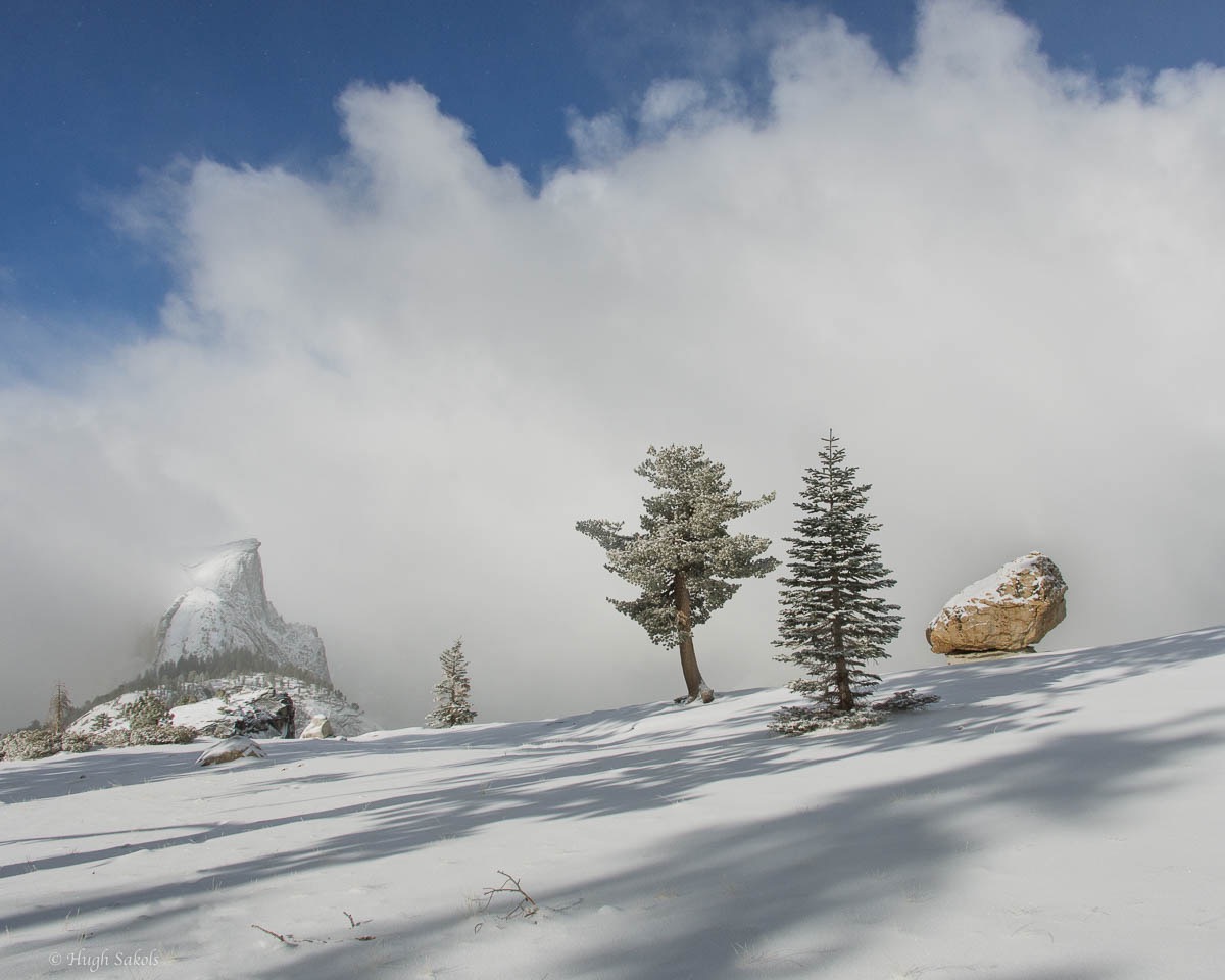 Yosemite Valley-40.jpg