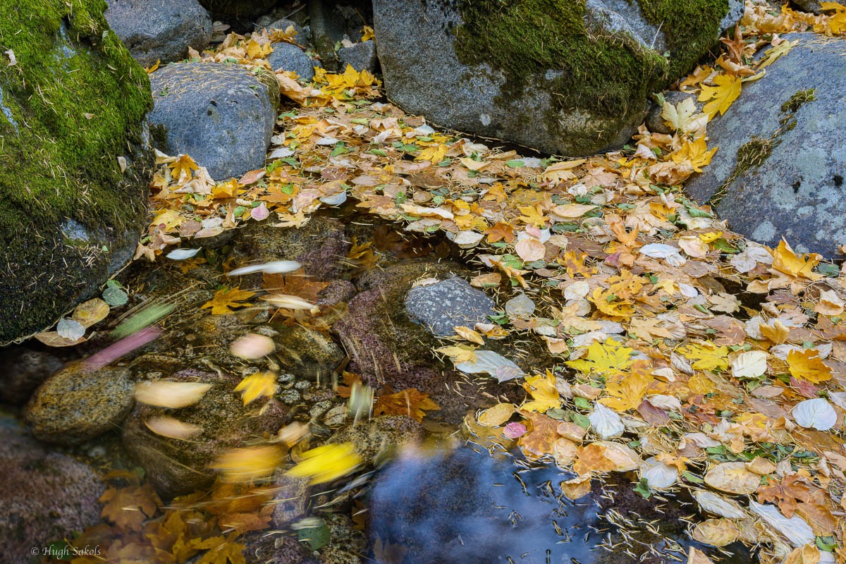 Yosemite Valley-44.jpg