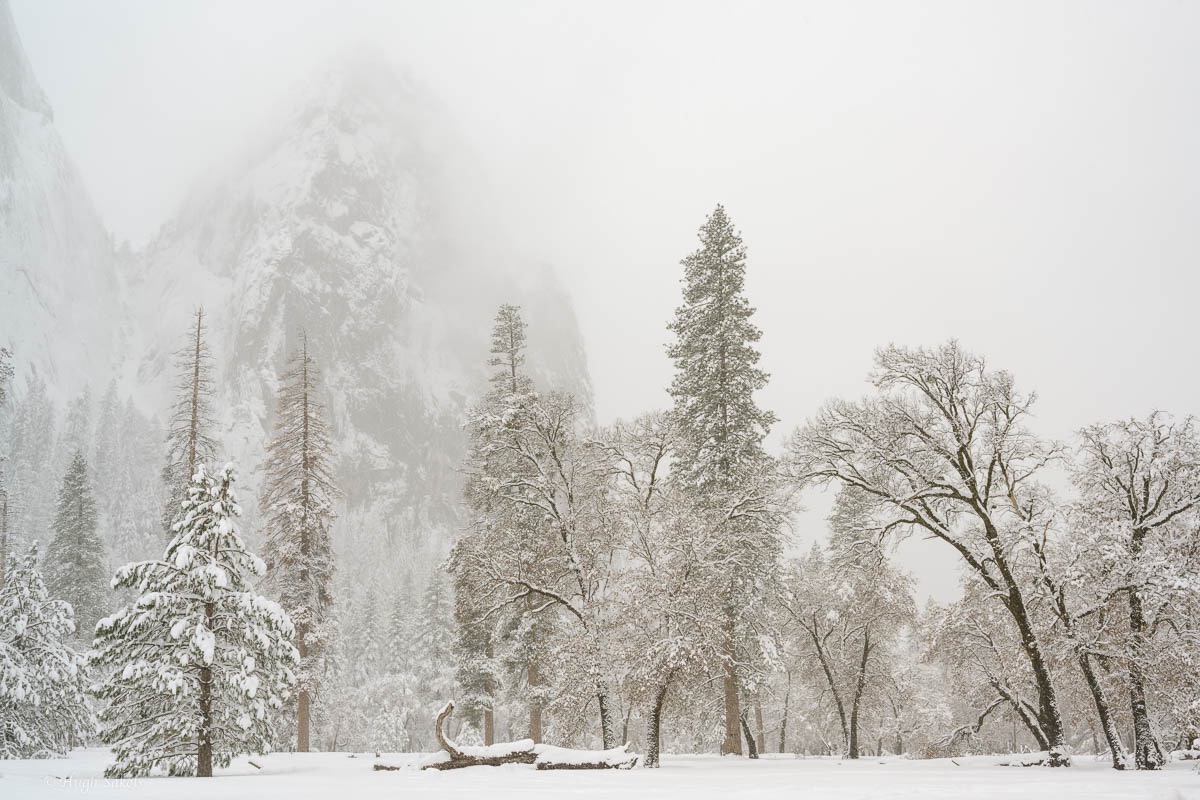 Yosemite Valley-46.jpg