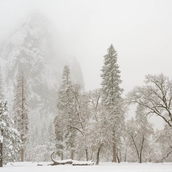 Yosemite Valley-46.jpg