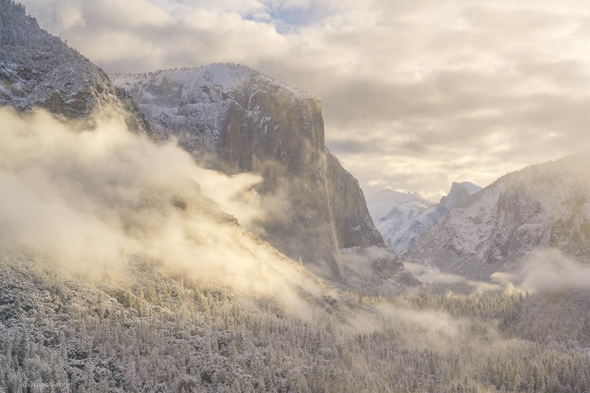 Yosemite Valley-55.jpg