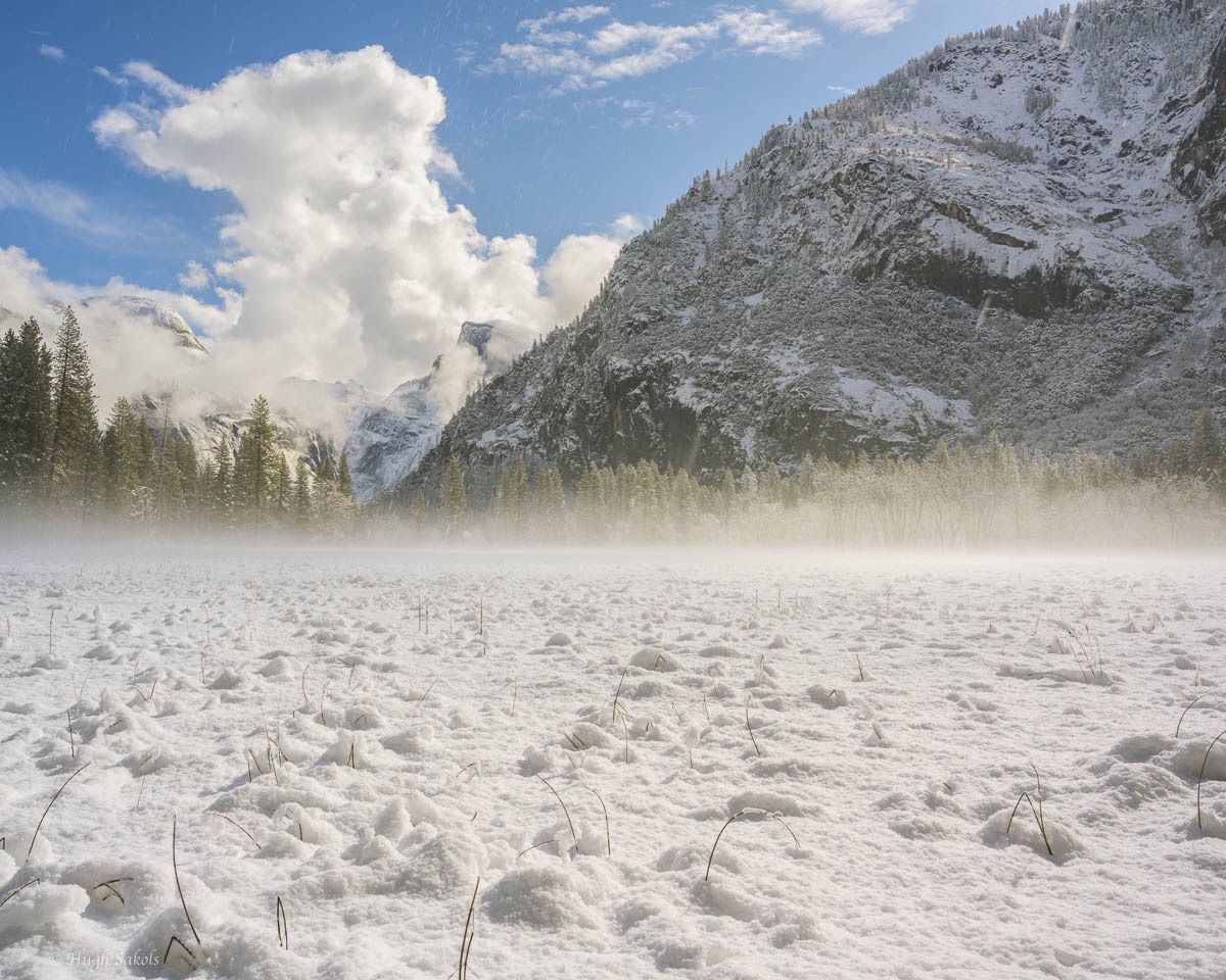 Yosemite Valley-56.jpg