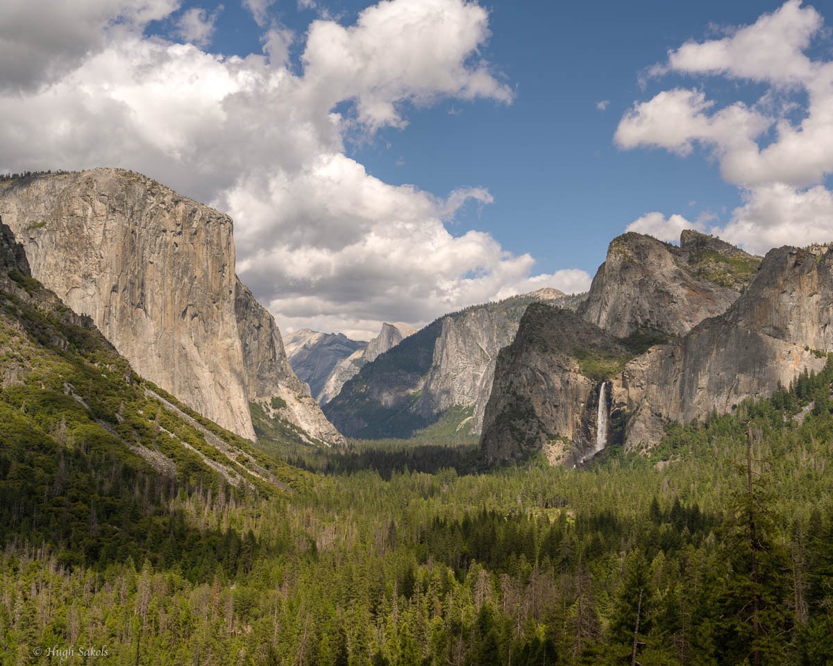 Yosemite Valley-59.jpg