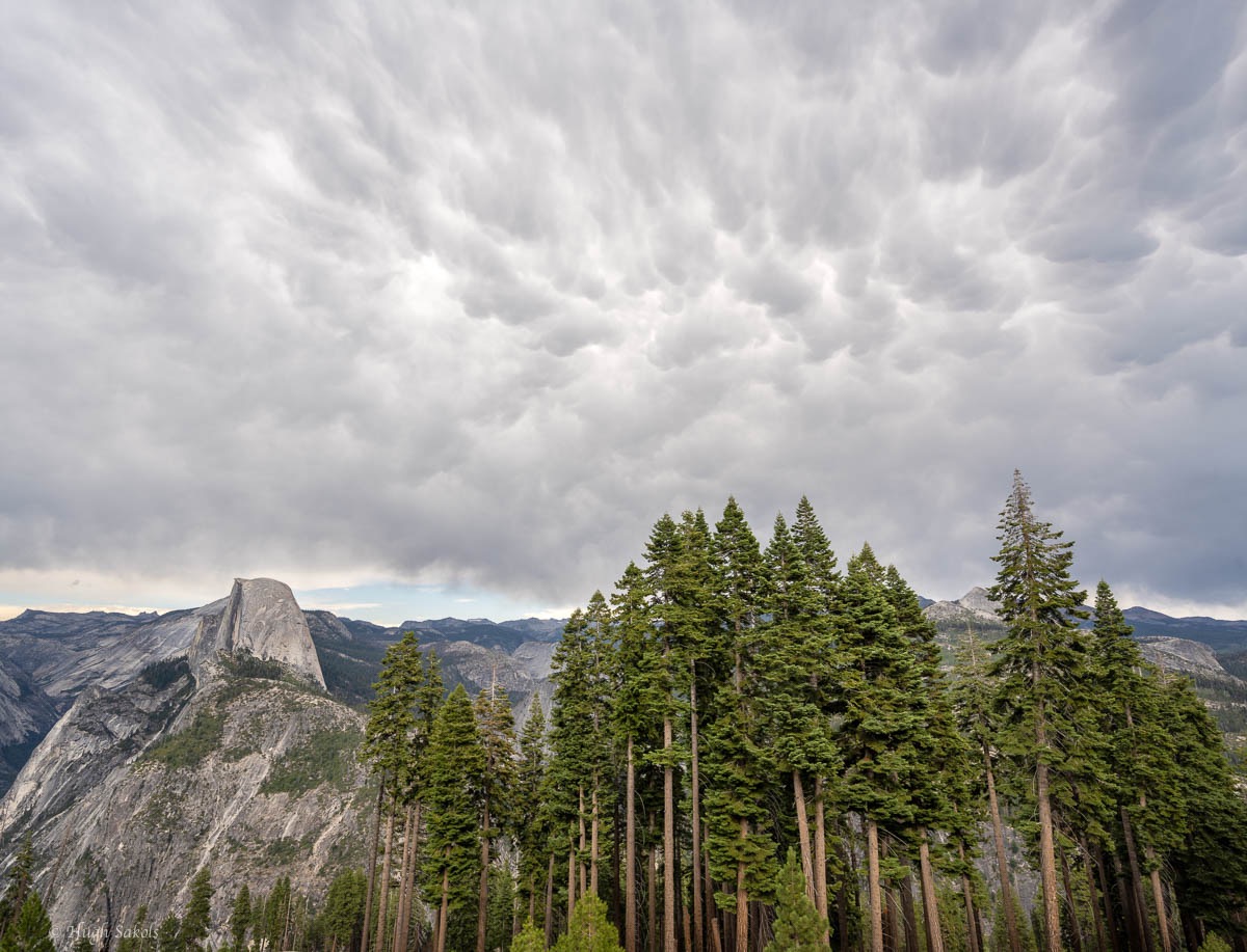 Yosemite Valley-60.jpg