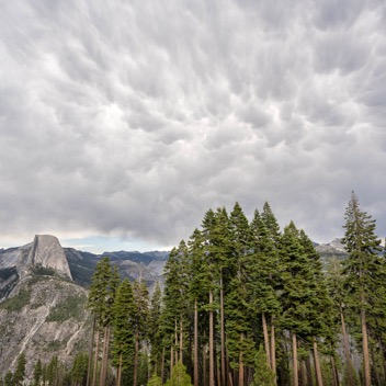 Yosemite Valley-60.jpg