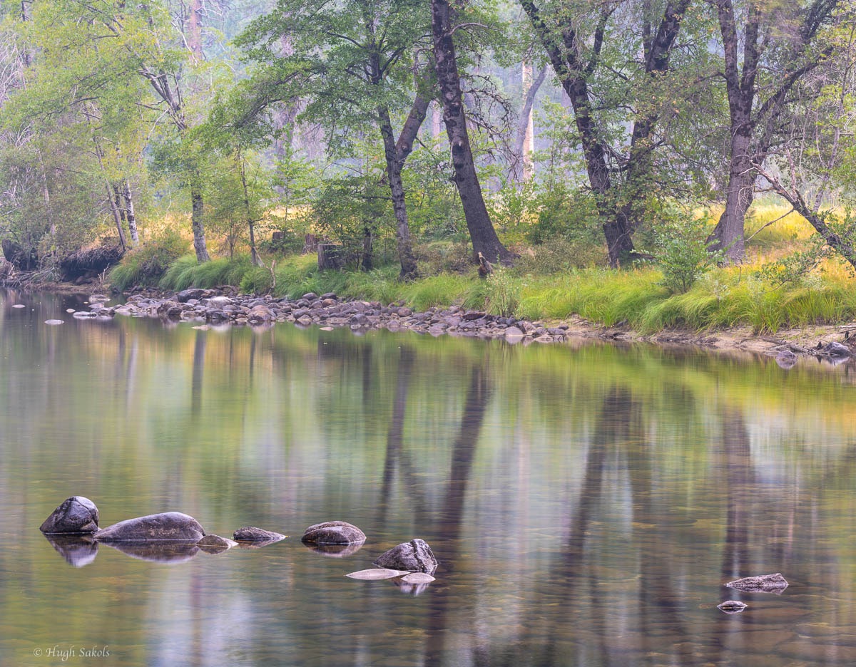 Yosemite Valley-61.jpg