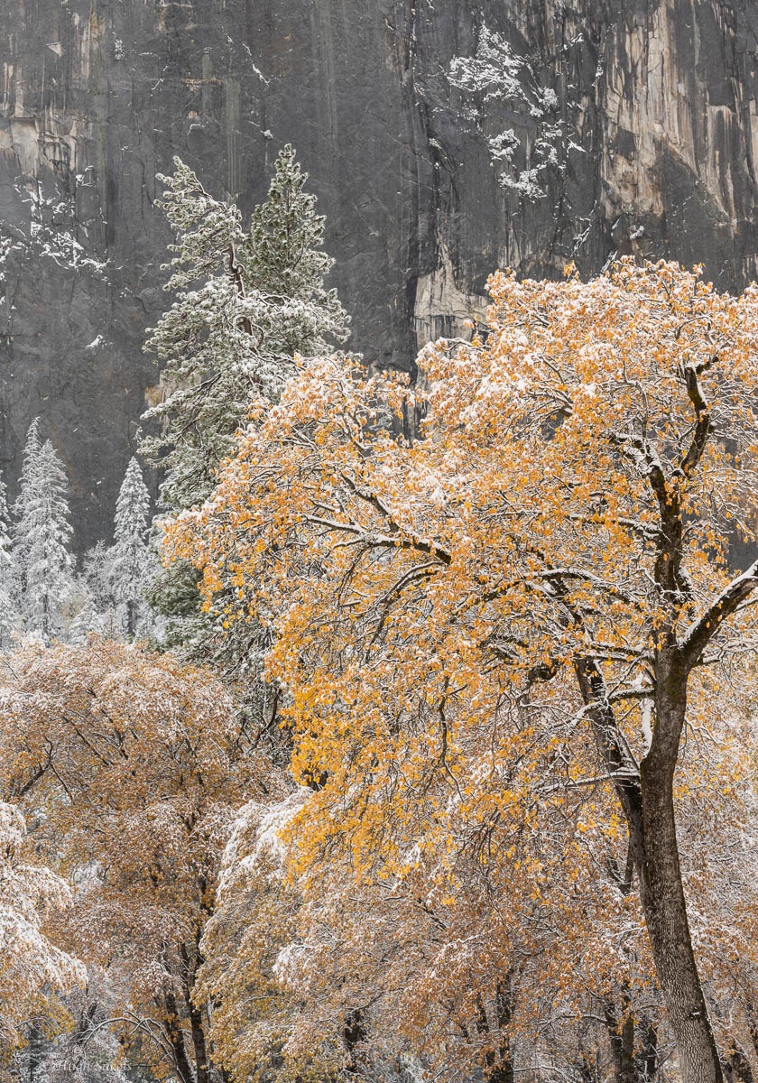 Yosemite Valley-64.jpg