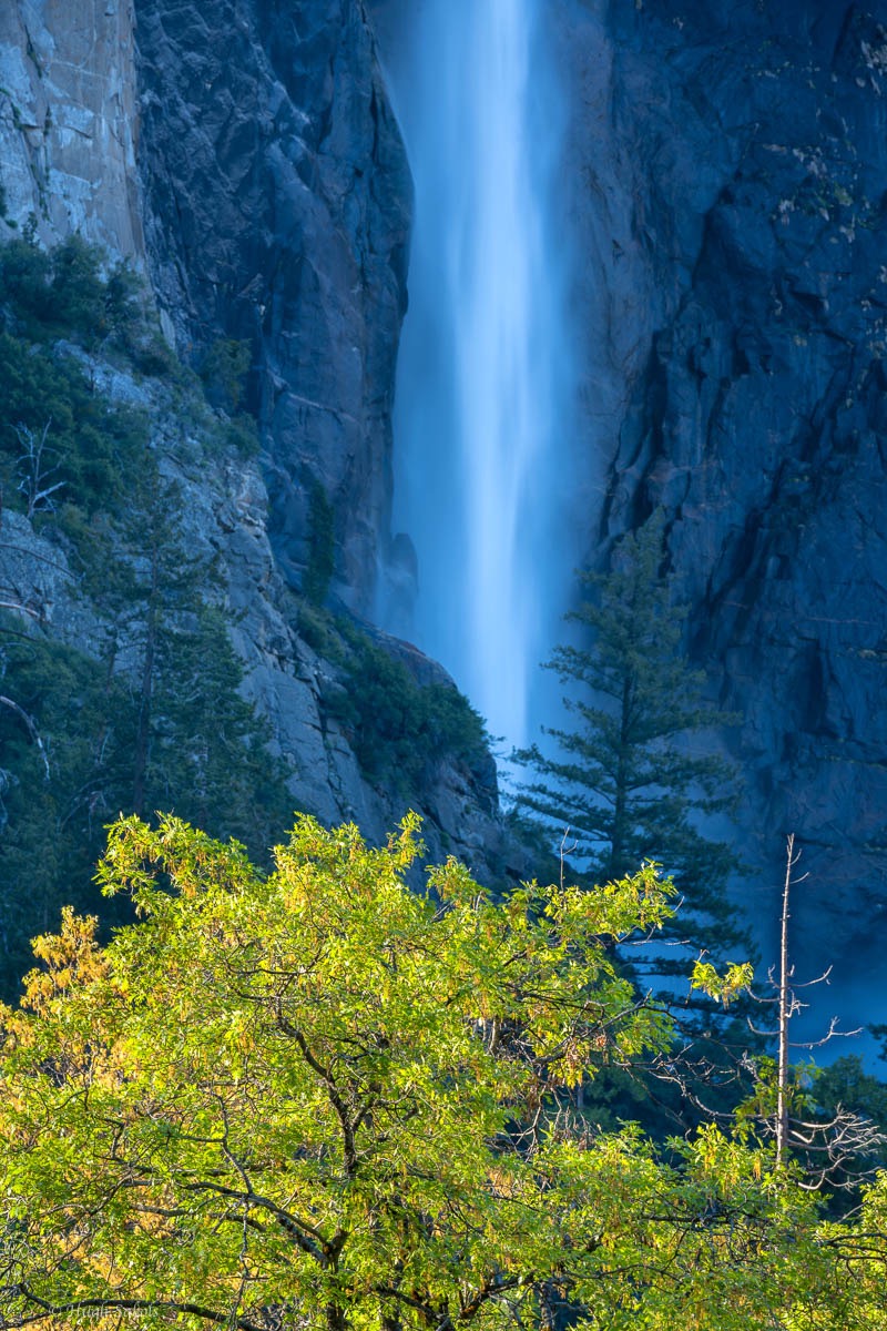 Yosemite Valley-77.jpg