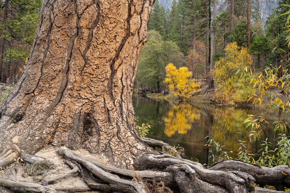 Yosemite Valley-86.jpg