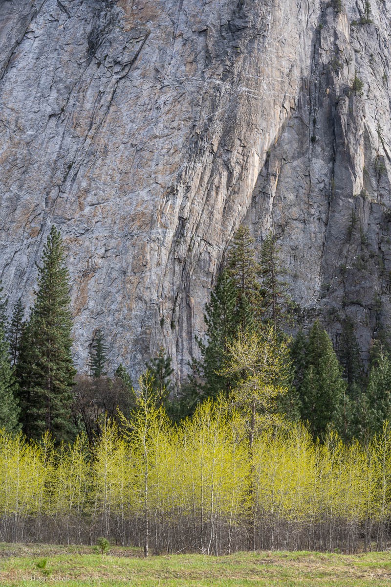 Yosemite Valley-91.jpg