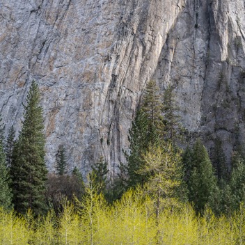 Yosemite Valley-91.jpg