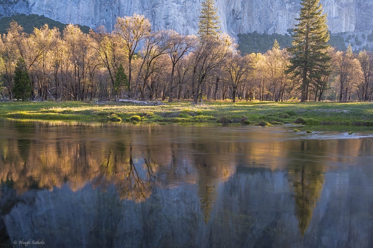 Yosemite Valley-93.jpg