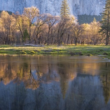 Yosemite Valley-93.jpg