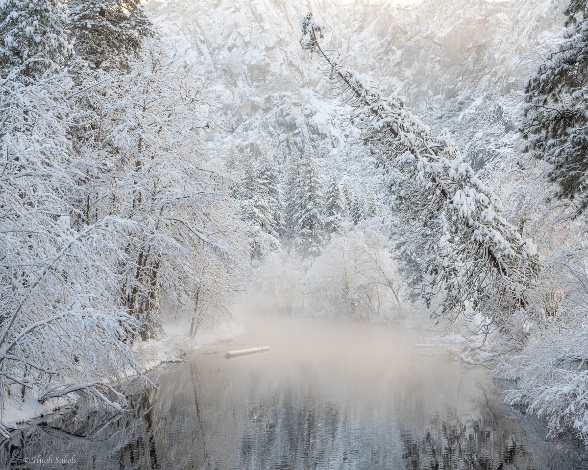 Yosemite Valley-96.jpg