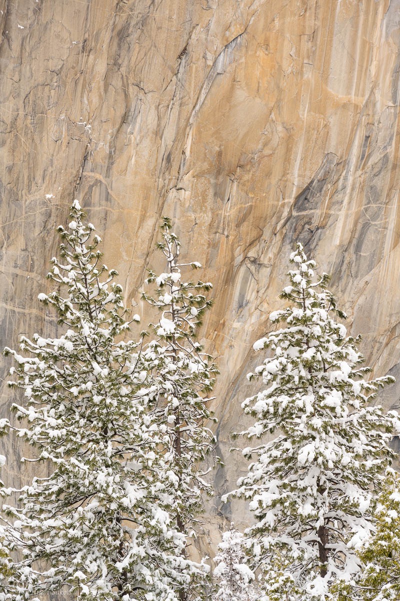 Yosemite Valley-100.jpg