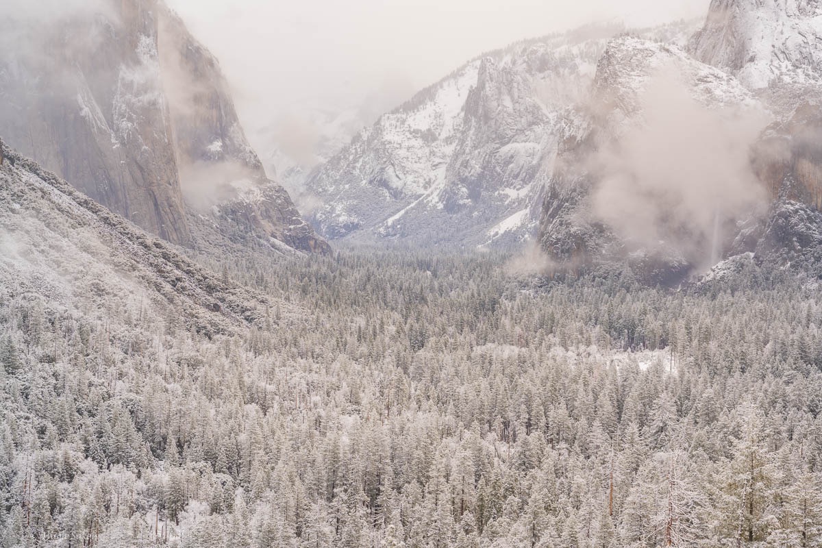 Yosemite Valley-103.jpg