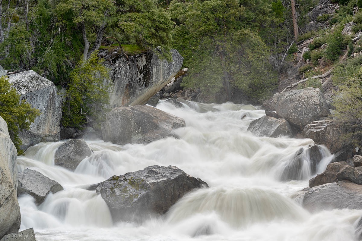 Yosemite Valley-108.jpg