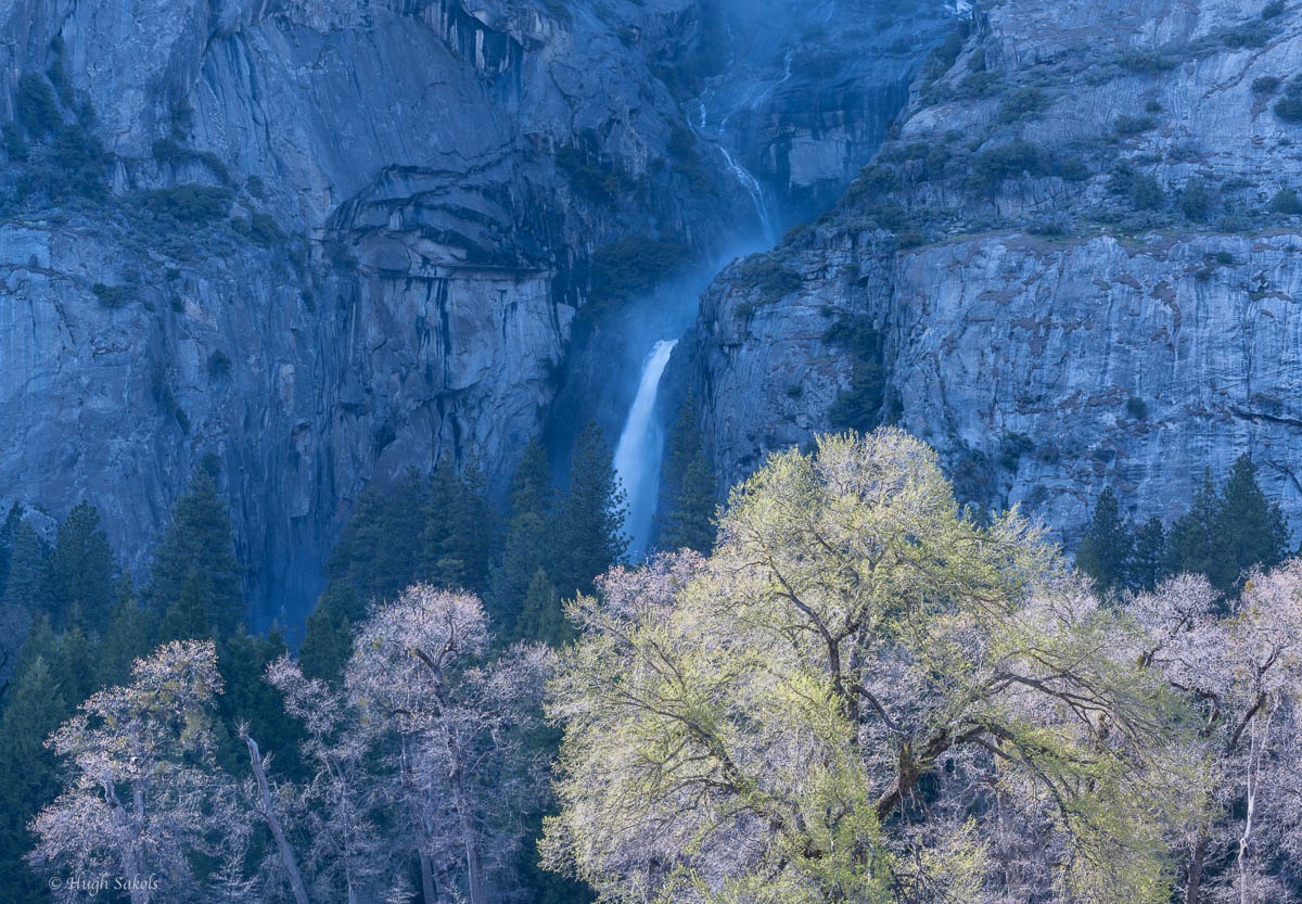Yosemite Valley-109.jpg