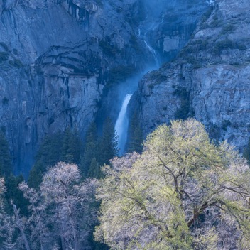 Yosemite Valley-109.jpg