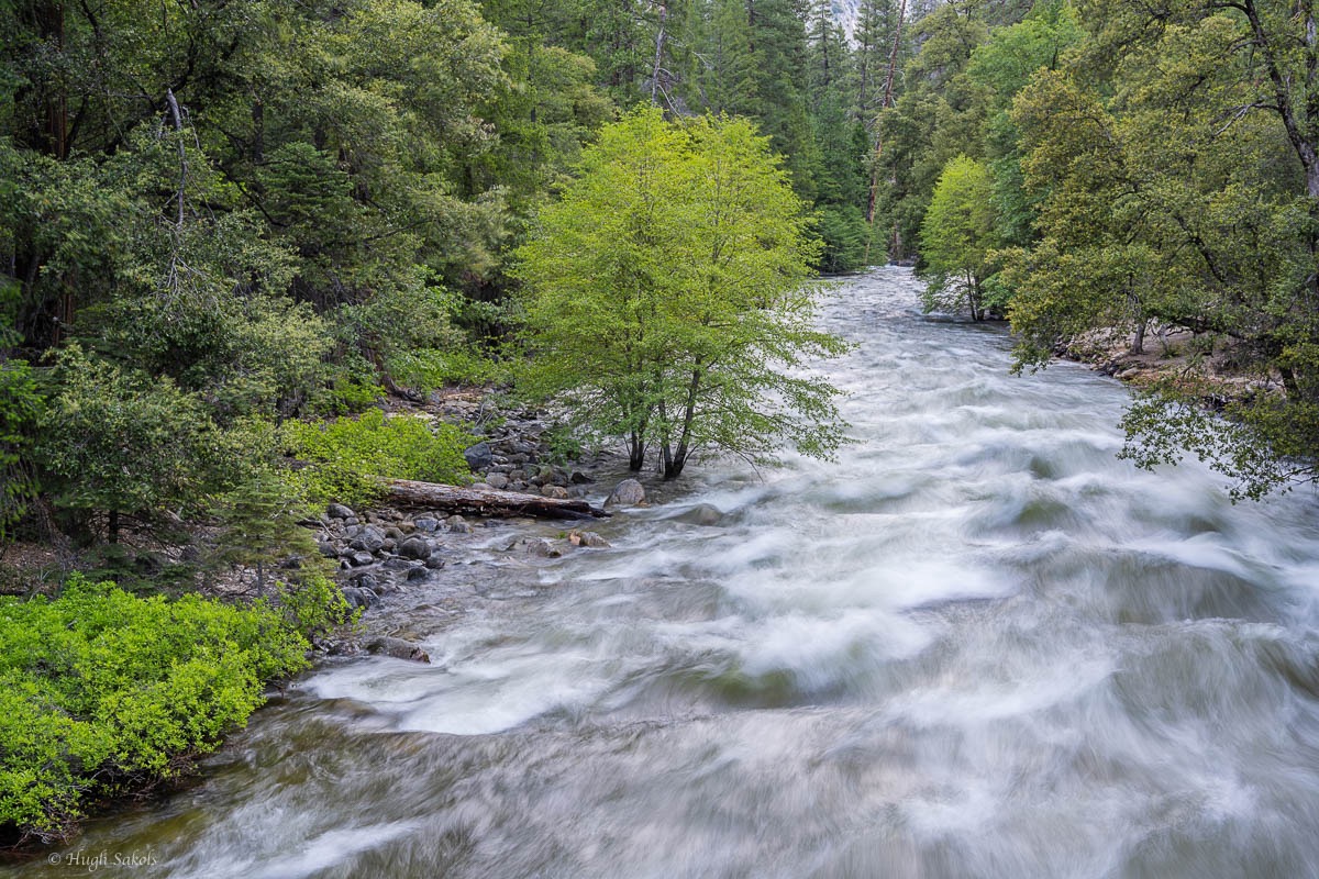 Yosemite Valley-113.jpg