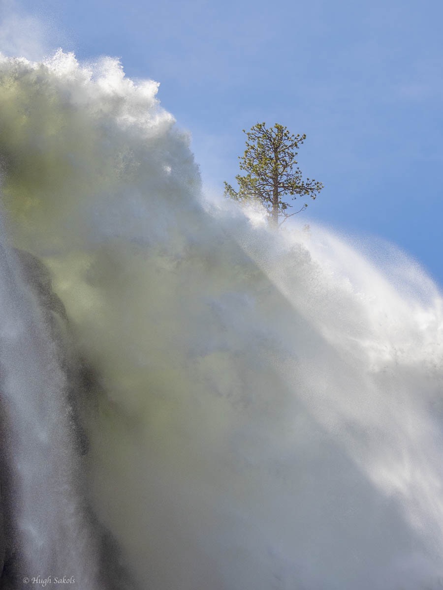 Yosemite Valley-114.jpg