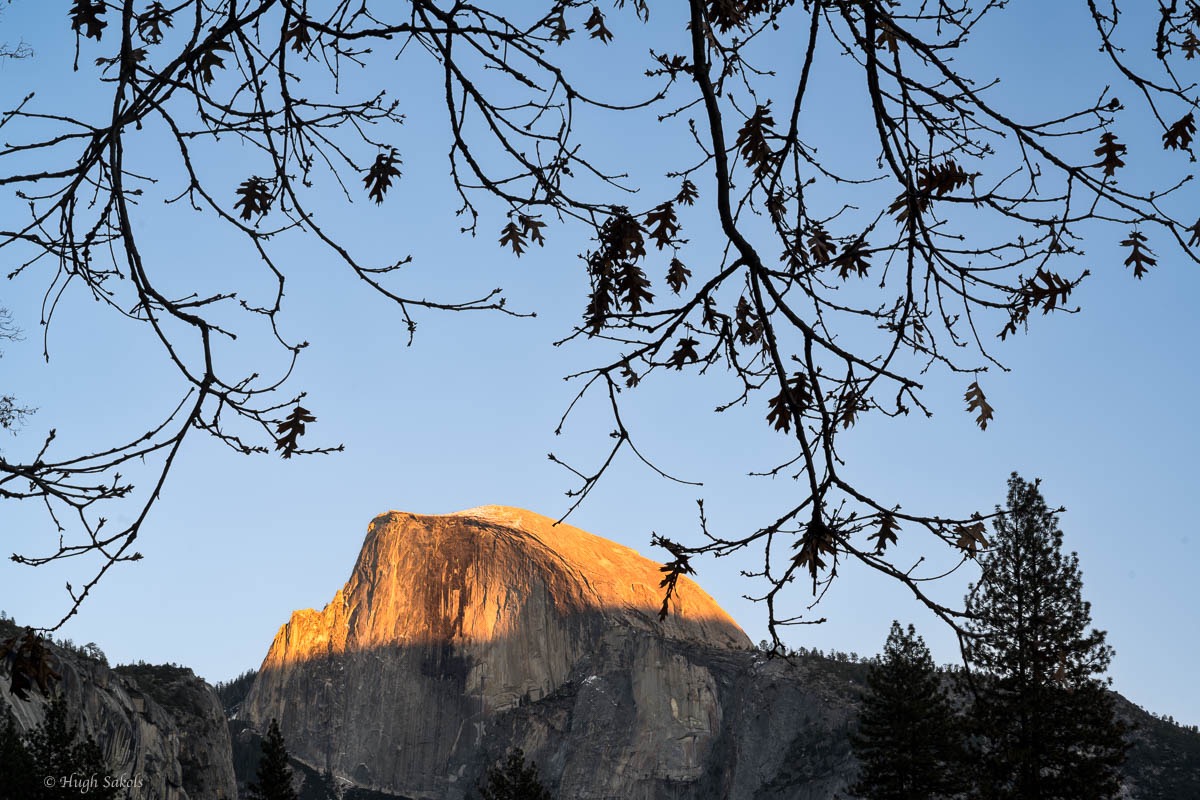 Yosemite Valley-120.jpg
