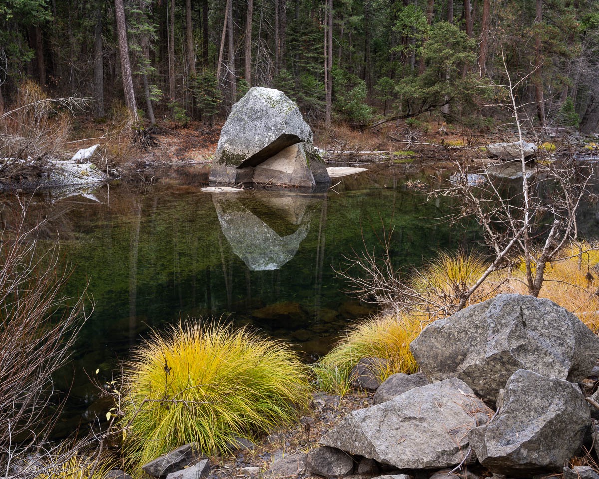 Yosemite Valley-121.jpg